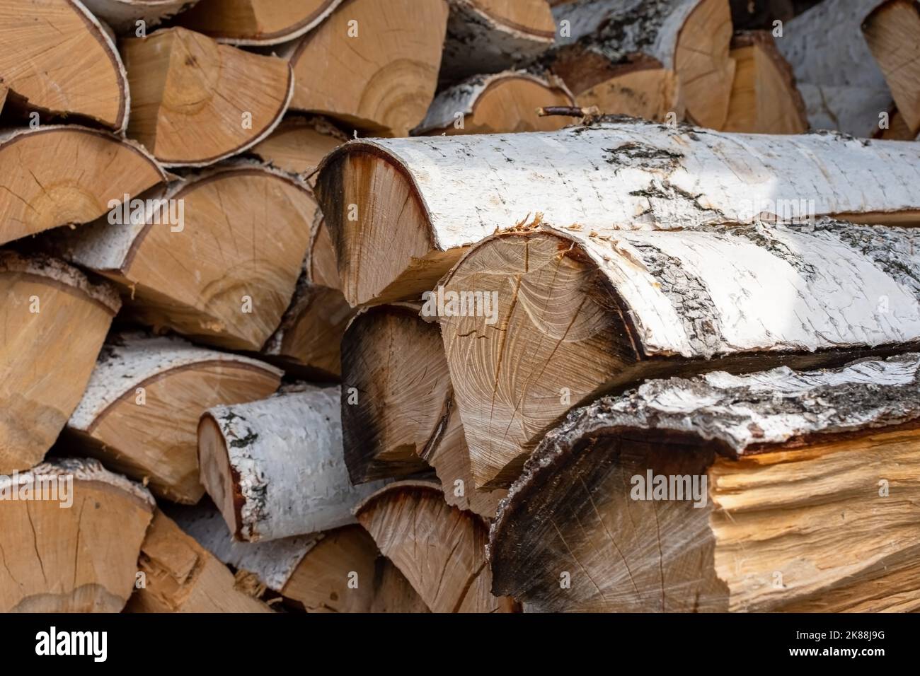 Stapel getrocknetes Brennholz aus Birkenholz. Holz für den Winter ernten. Brennholz Hintergrund, Textur. Nahaufnahme Stockfoto