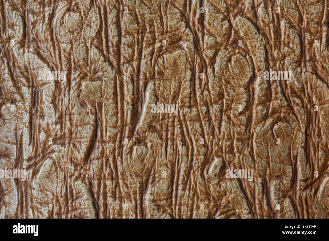 Hell- und dunkelbraune Farbe geprägte strukturierte abstrakte, holprige, unebene und verschwommene Oberfläche Hintergrund oder Hintergrund für grafische Gestaltung Stockfoto