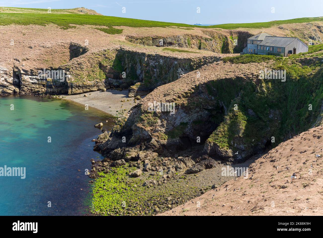 Das Meeres- und Wildreservat von Skomer Island vor der Westküste von Wales, Großbritannien Stockfoto