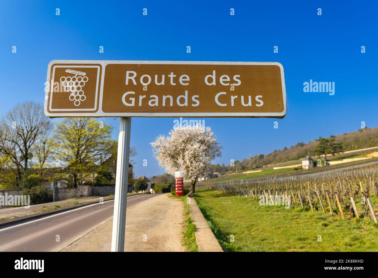 Weinstraße (Route des Grands Crus) in der Nähe von Beaune, Burgund, Frankreich Stockfoto