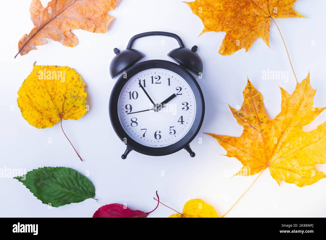 Wecker auf weißem Hintergrund und Herbstblätter in verschiedenen Farben. Stockfoto