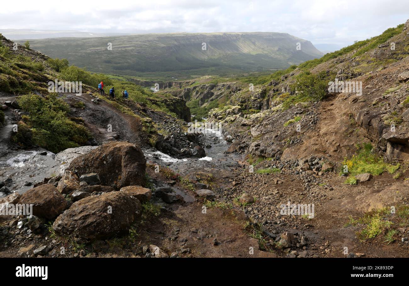 Rückwanderung vom Glymur Wasserfall in Island. Stockfoto