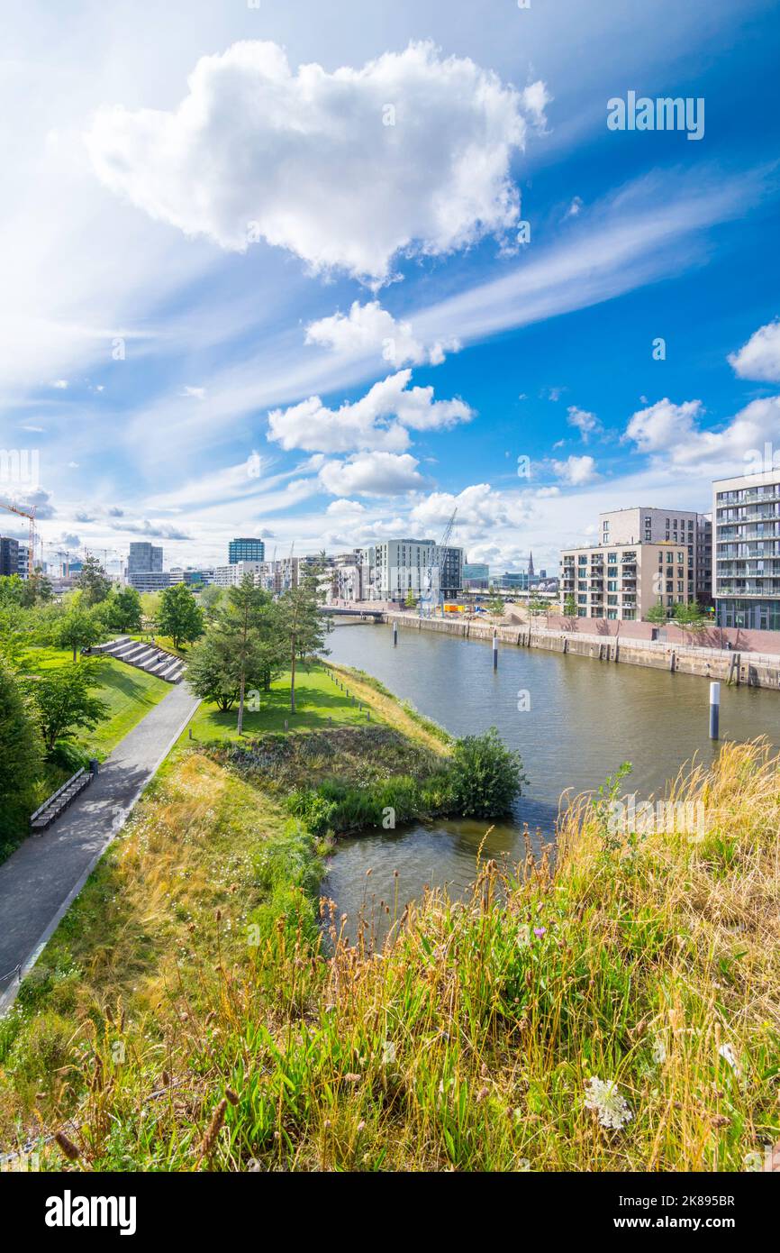 Blick über den Baakenpark in Hamburg. Im Vordergrund eine insektenfreundliche Blumenwiese, im Hintergrund die moderne HafenCity mit alten Hafenkranen Stockfoto