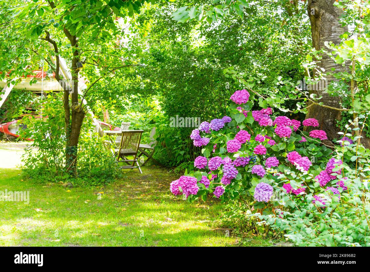 Ein kleiner malerischer überwucherter Garten in Hamburg. Im Hintergrund lädt ein Holztisch zum Verweilen ein. Vorne ist eine große rosa und lila Blüte Stockfoto