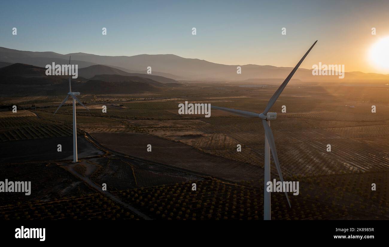 Windmühlen, in Dolar, Granada, Spanien Stockfoto