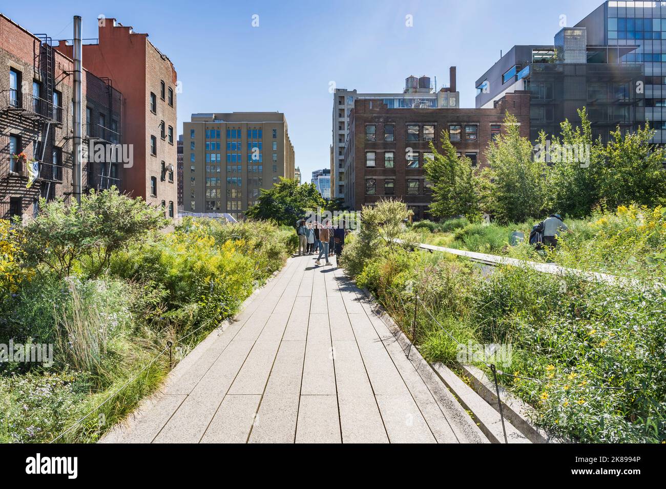 The High Line ein erhöhter linearer Park und Greenway, der auf einem ehemaligen Eisenbahnpfad in der Westseite von Manhattan, New York, angelegt wurde Stockfoto