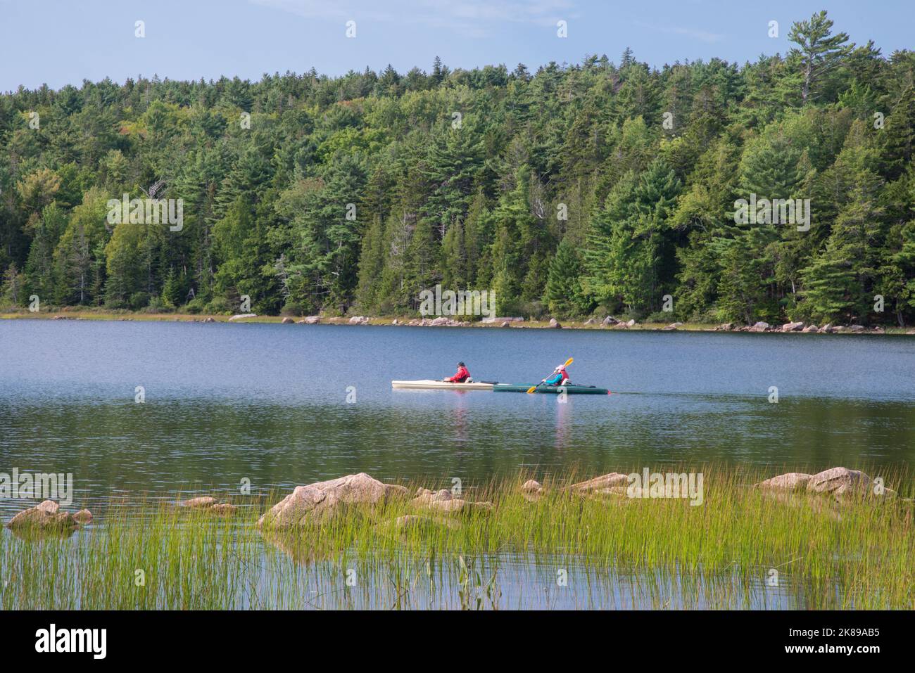 Kajakfahrer auf Eagle Lake im Acadia National Park, Mount Desert Island, Maine, USA Stockfoto