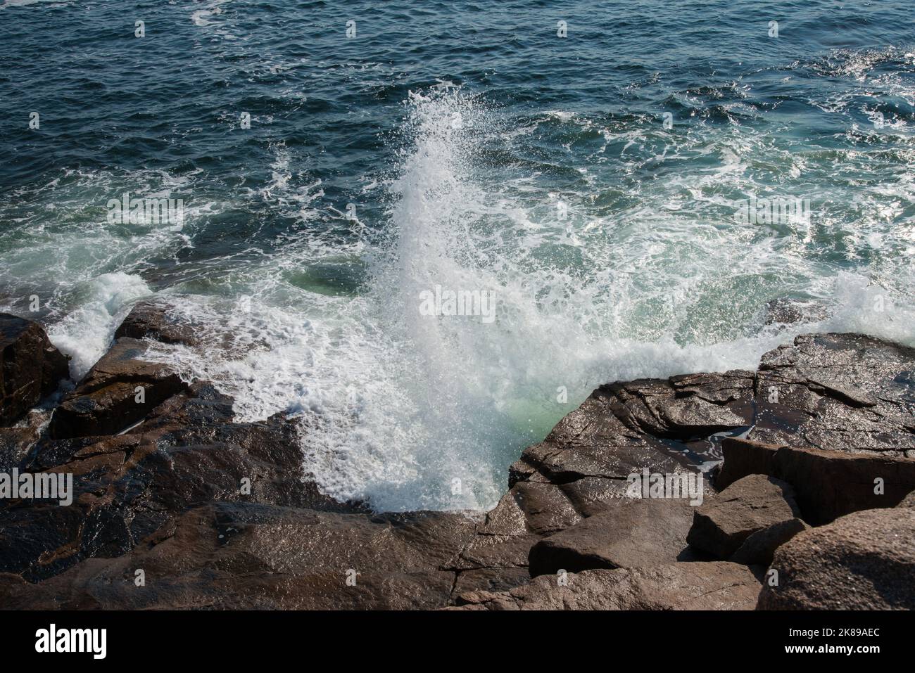 Wellen, die hoch in die Luft stürzen, entlang der felsigen Küste von Maine im Acadia National Park, Mount Desert Island, Maine, USA Stockfoto