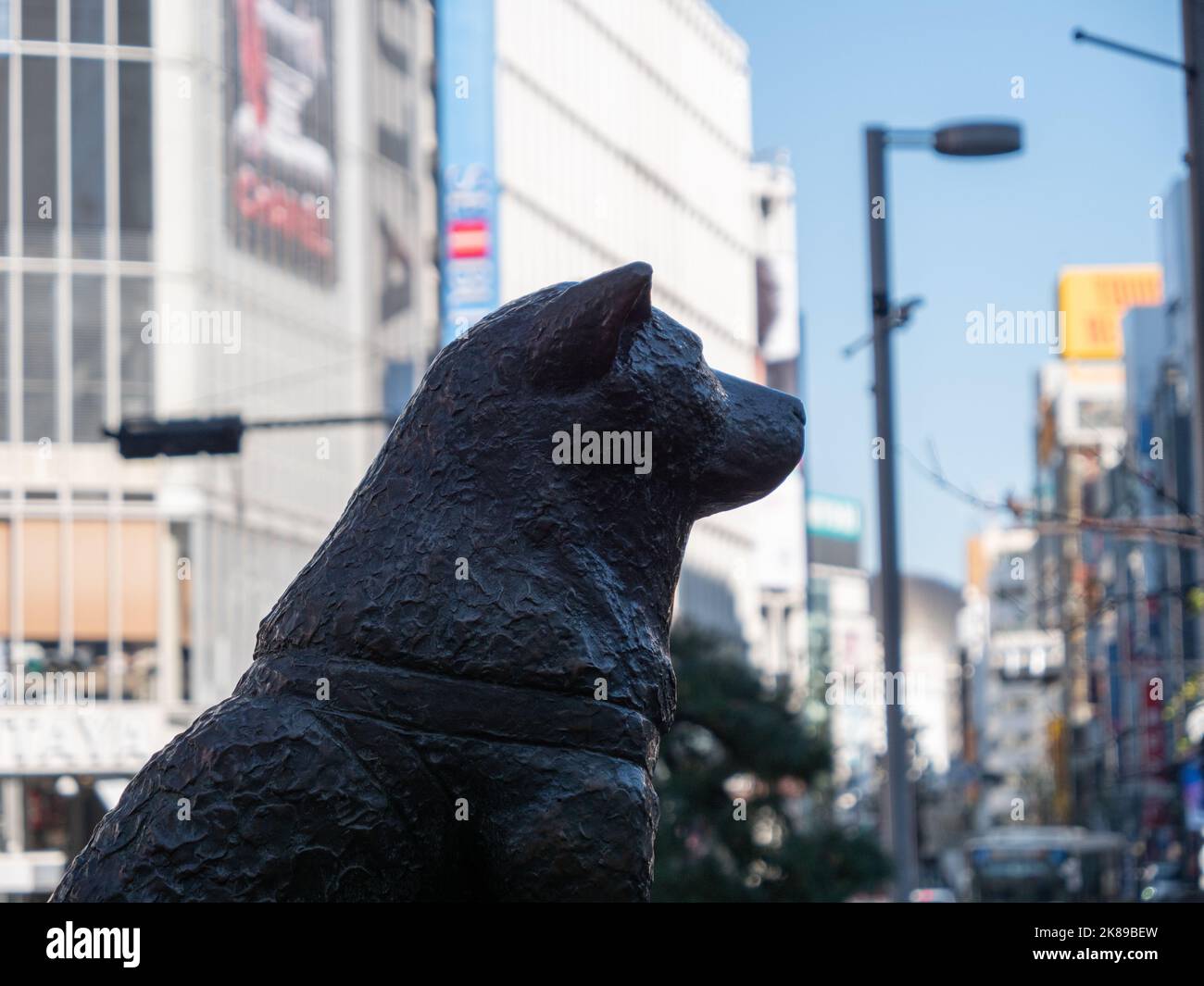 Die berühmte Hachiko-Statue, die sich außerhalb des Shibuya-Bahnhofs in Tokio befindet. Stockfoto