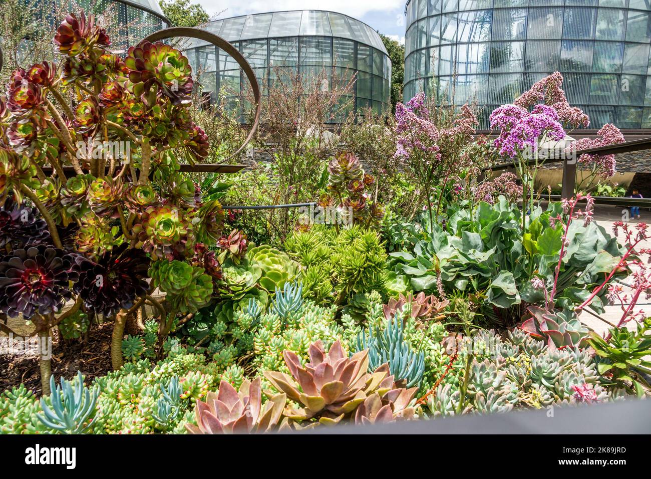 Bogota Kolumbien,Engativa Calle 63 Jardin Botanico de Bogota¡ Jose