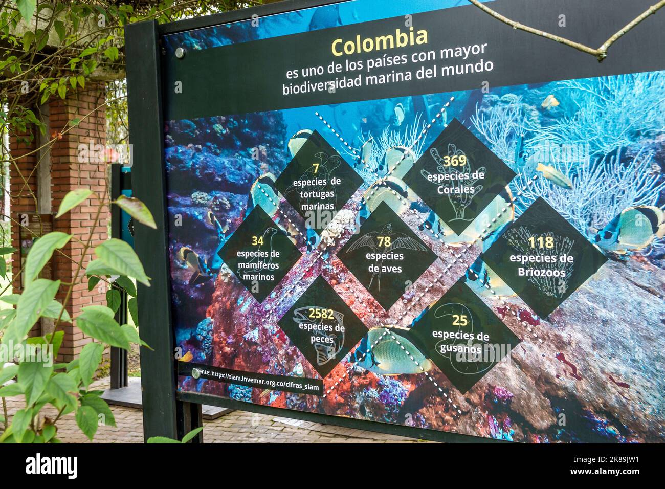 Bogota Kolumbien, Engativa Calle 63 Jardin Botanico de Bogota¡ Jose Celestino Mutis Botanischer Garten, 9 Schilder Plakate Informationen sauber norma Stockfoto