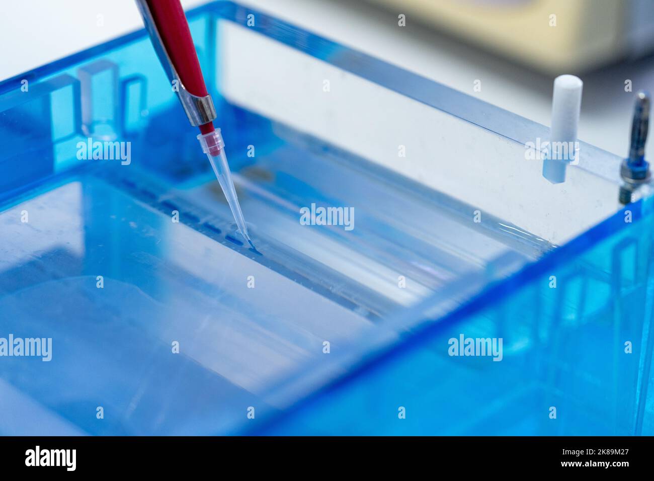 Gelelektrophorese Stockfoto