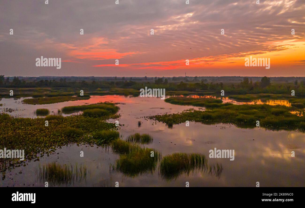 SUQIAN, CHINA - 21. OKTOBER 2022 - Ein Blick auf das Feuchtgebiet am Hongze-See unter Chaoyang in der Stadt Suqian, Provinz Jiangsu, China, 21. Oktober 2022. Stockfoto