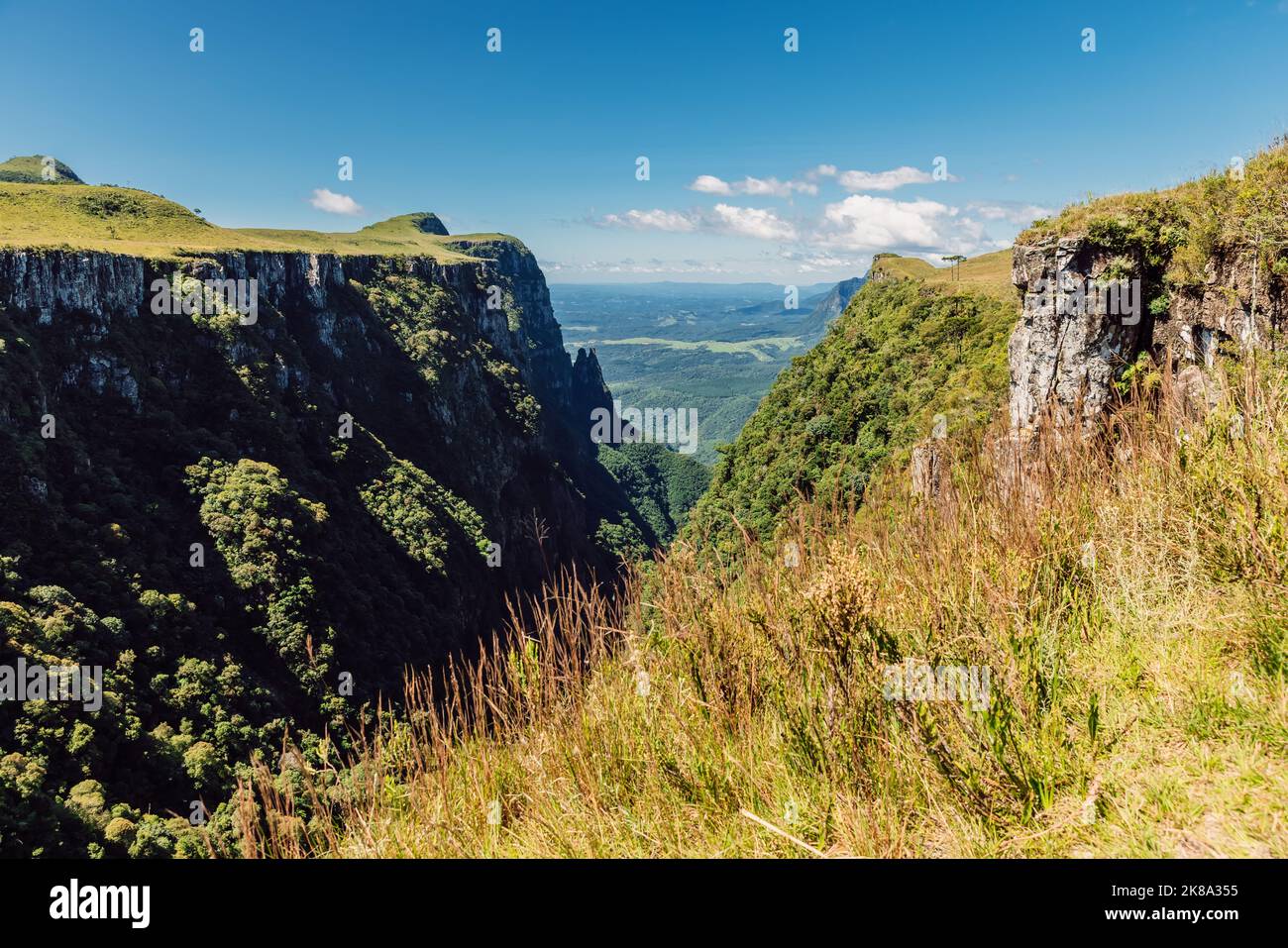 Espraiado Canyon mit Felsen, Bäumen und Sonnenlicht in Urubici, Brasilien. Stockfoto