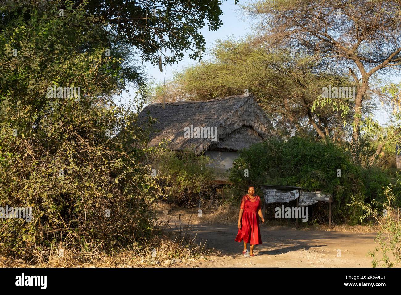 Tarangire, Tansania - 12.. Oktober 2022: Eine einheimische Frau, die an einer Savannenhütte in Tansania vorbeiläuft. Stockfoto