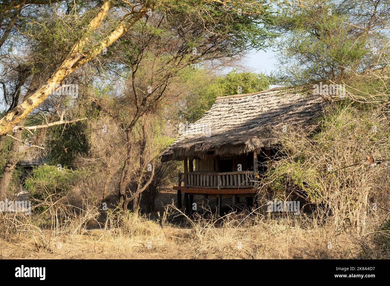 Tarangire, Tansania - 12.. Oktober 2022: Eine Hütte in einer Lodge im Tarangire Reservat, Tansania, im Morgengrauen. Stockfoto