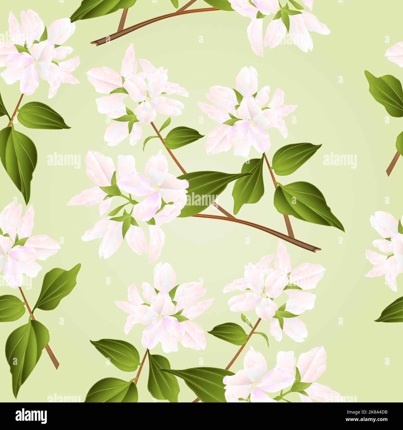 Nahtlose Textur Zweige dekorativen Strauch mit weißen Blumen Natur Hintergrund Vektor Illustration Stock Vektor