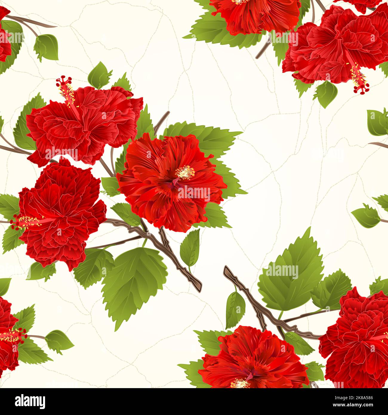 Nahtlose Textur Zweig rot Hibiskus tropischen Blumen knacken vintage Hand zeichnen Vektor-Illustration Stock Vektor