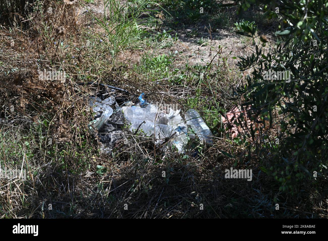 Plastikflaschen und andere Müll- oder Abfallbehälter werden im Park weggeworfen Stockfoto