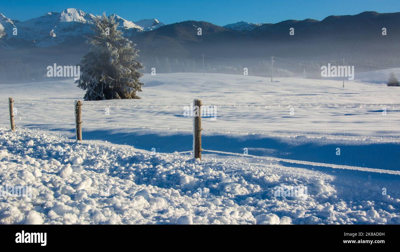 Ein leichter Nebel in Pian del Cansiglio in Belluno, Italien Stockfoto