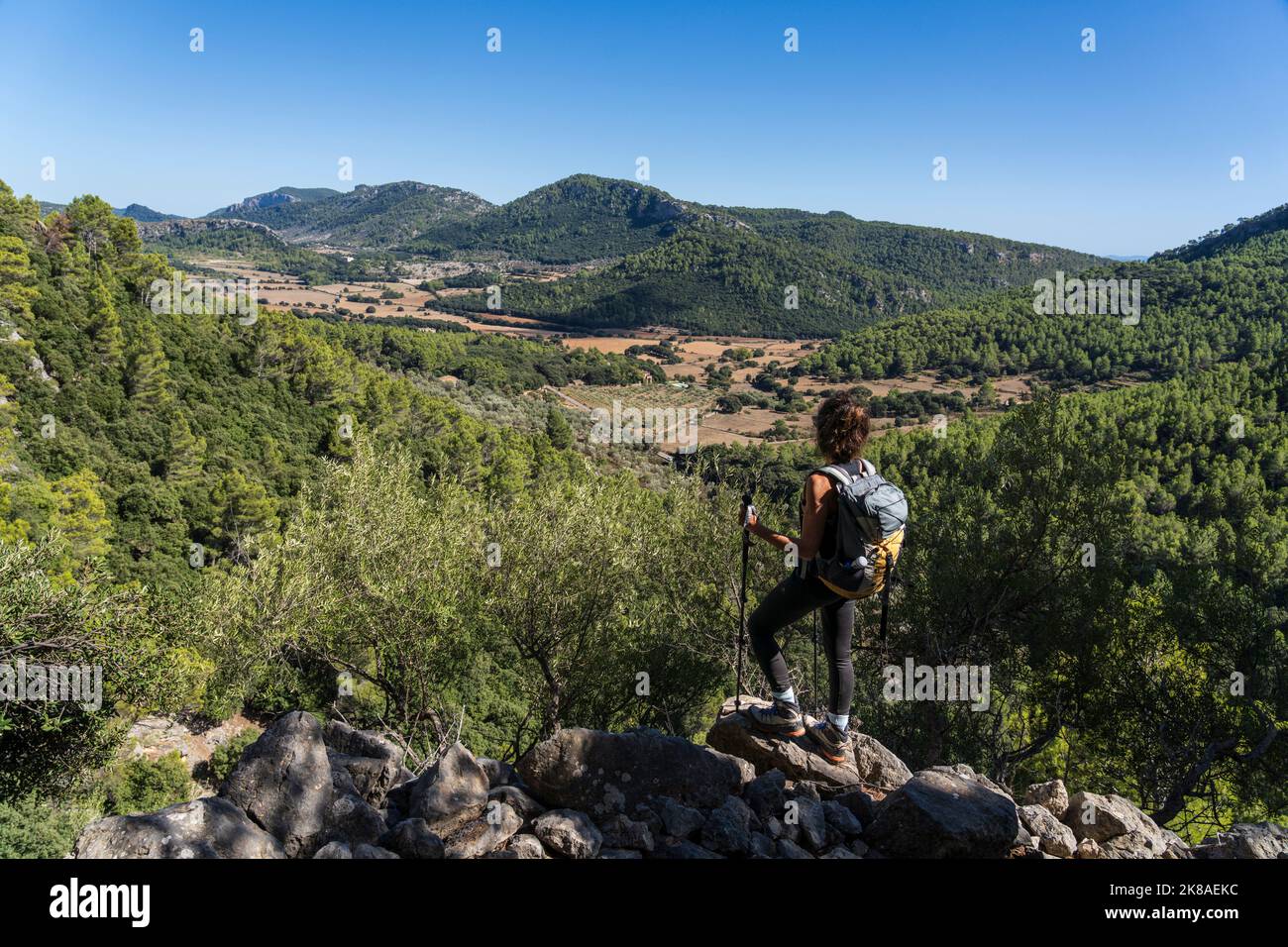 Wanderer auf einer Straße im Wald von Orient, Orient-Tal, Mallorca, Balearen, Spanien Stockfoto