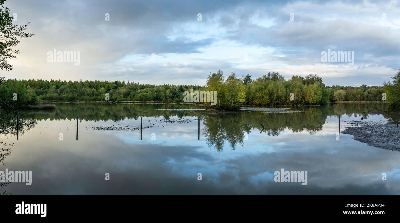 Worgreens lokales Naturschutzgebiet, Forest of Dean, Gloucestershire. VEREINIGTES KÖNIGREICH. Stockfoto