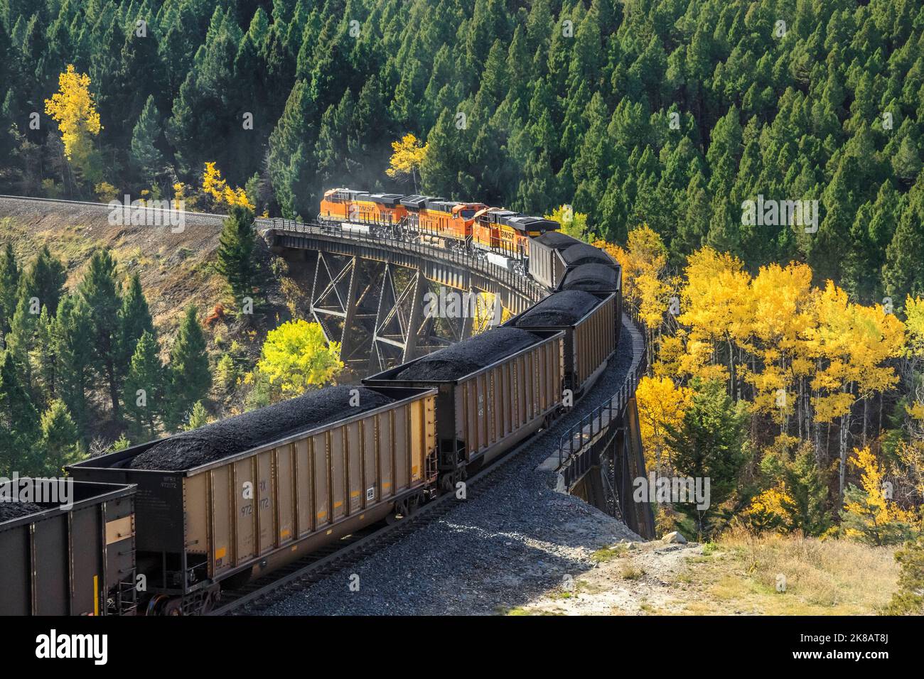 Zug, der im Herbst über einen hohen Böll unterhalb des mullan-Passes in der Nähe von Austin, montana, fährt Stockfoto