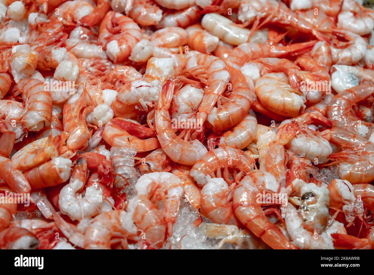 Große Garnelen auf dem Markt. Meeresnahrung Stockfoto