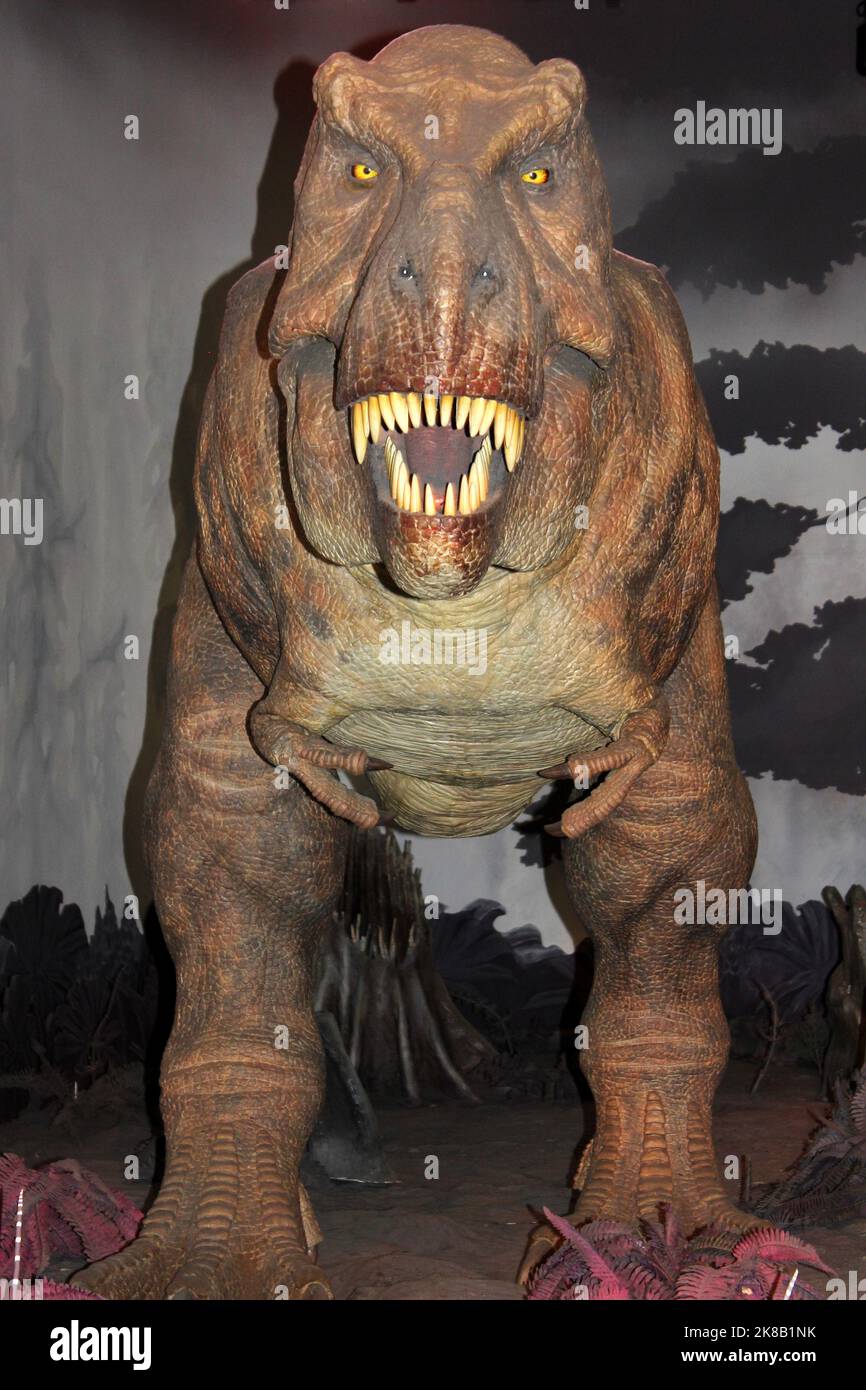 Tyrannosaurus Rex Model - Natural History Museum London Stockfoto
