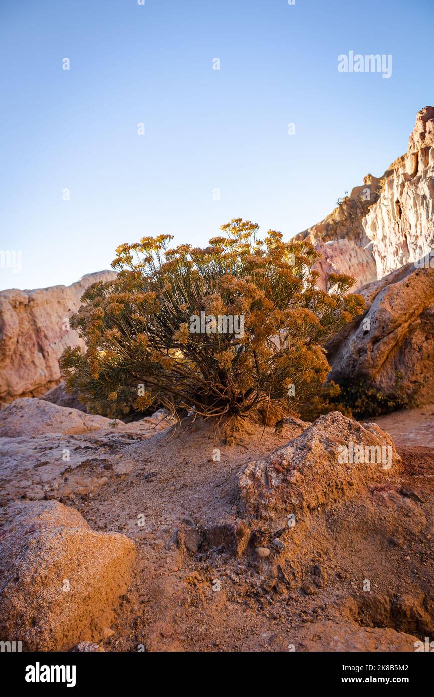 Foto aufgenommen im Paint Mines Interpretive Park in der Eastern Plains of Colorado (in der Nähe von Calhan) - dieses Gebiet ist von Winden geformt und birgt Naturwunder. Stockfoto