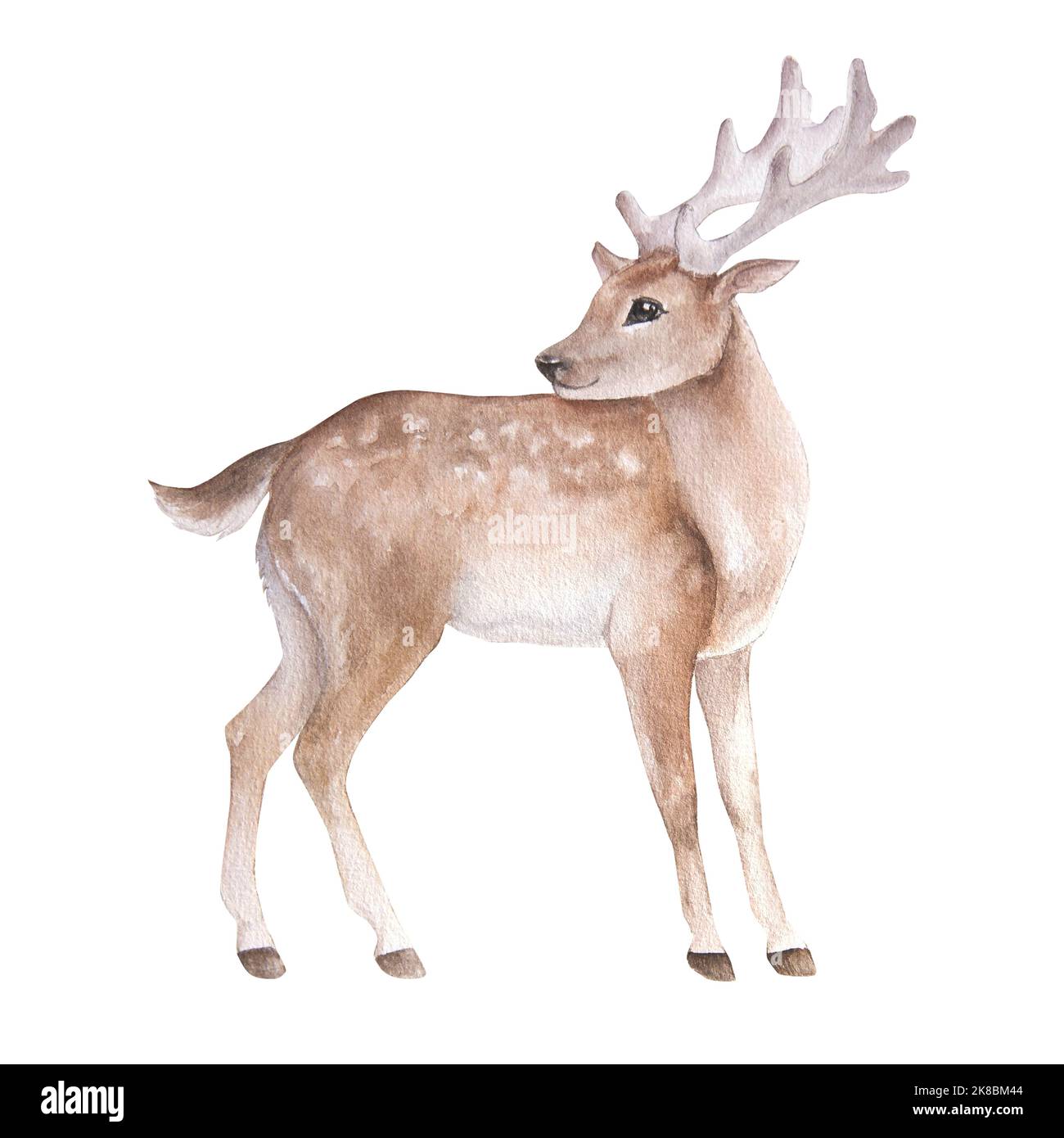 Aquarell-Illustration eines Zeichentrickfilms, isoliert Stockfoto