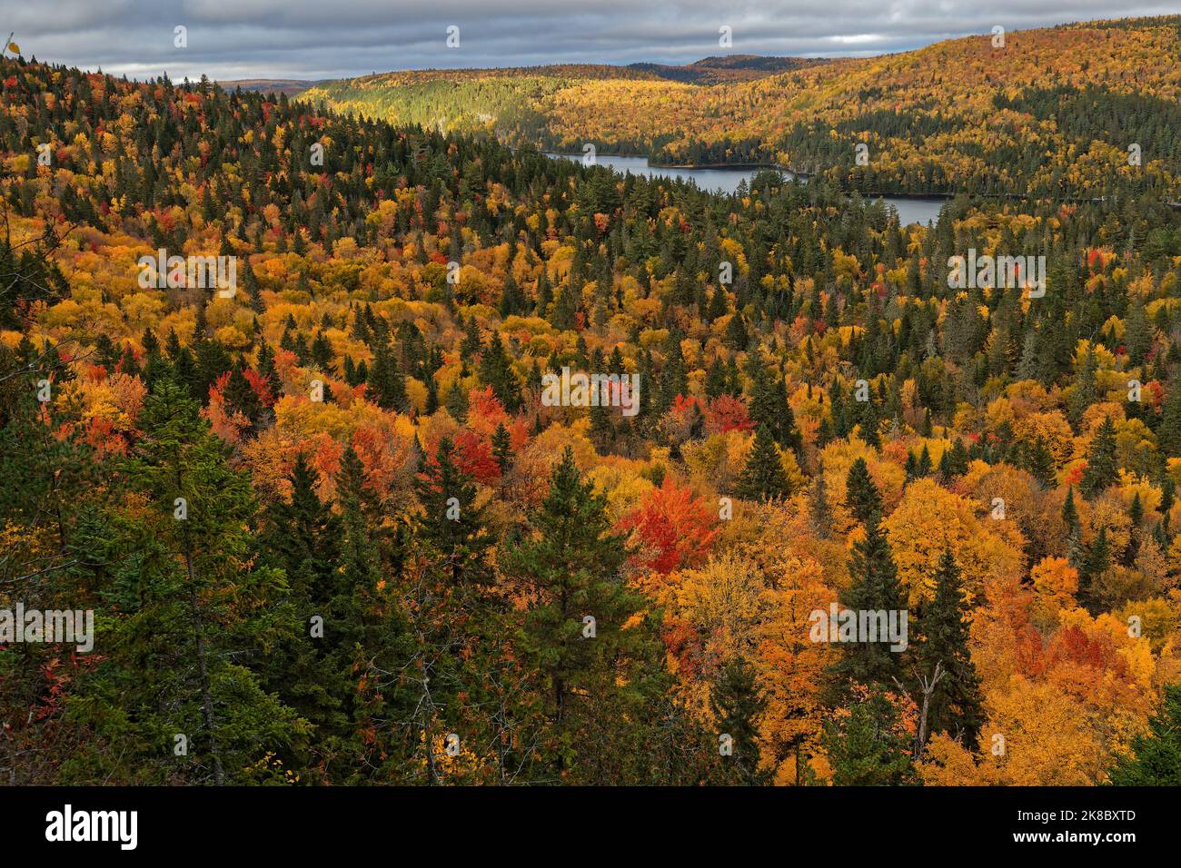 Wunderschöne Landschaft des La Mauricie Parks im Herbst, Quebec Stockfoto