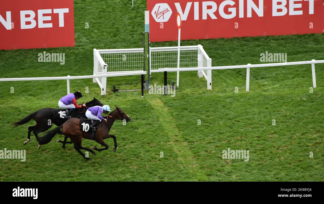 Newbury, Großbritannien. 22. Okt 2022. Opera Forever, geritten von P.J. McDonald gewinnt die Novice Stakes der Conundrum Consulting EBF-Filmunternehmen 2,55 vor dem Value Added-Rennen von William Buick auf der Newbury Racecourse, Großbritannien. Kredit: Paul Blake/Alamy Live Nachrichten. Stockfoto