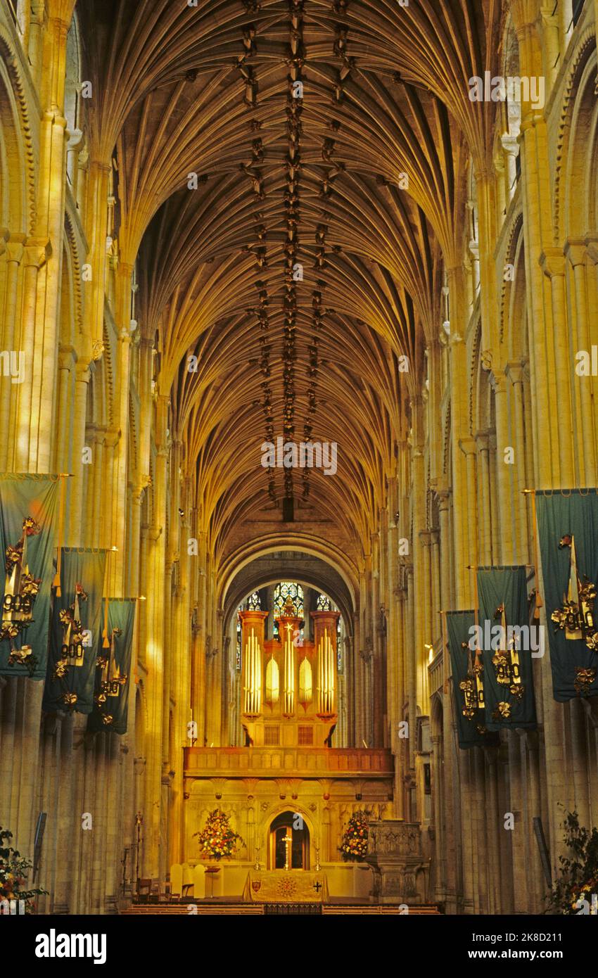 Norwich Kathedrale, Schiff, Orgel, Innenraum, Norfolk, England, englische Kathedralen, Innenräume Stockfoto