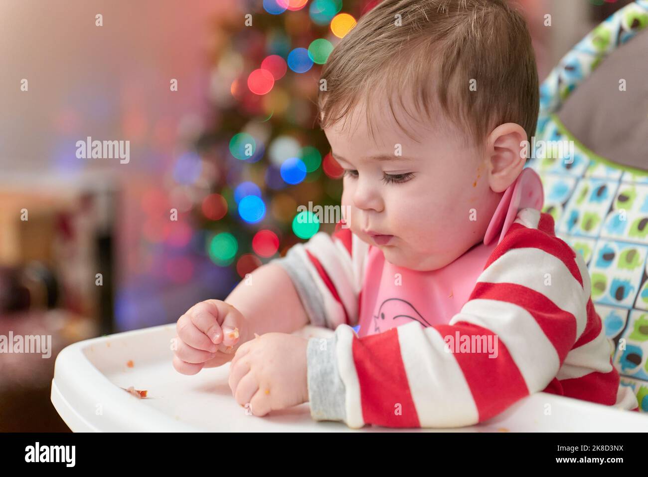 Kleiner Junge Kleinkind, der in seinem Hochstuhl vor dem weihnachtsbaum isst Stockfoto