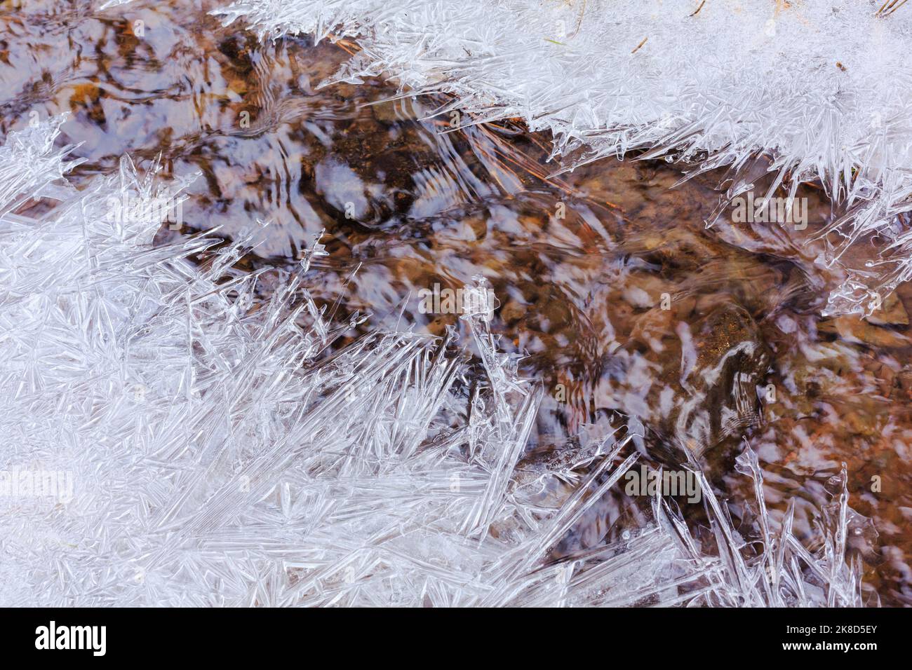 Entlang dieses Baches in den White Mountains von Arizona entstand ein kompliziertes Eismuster. Stockfoto