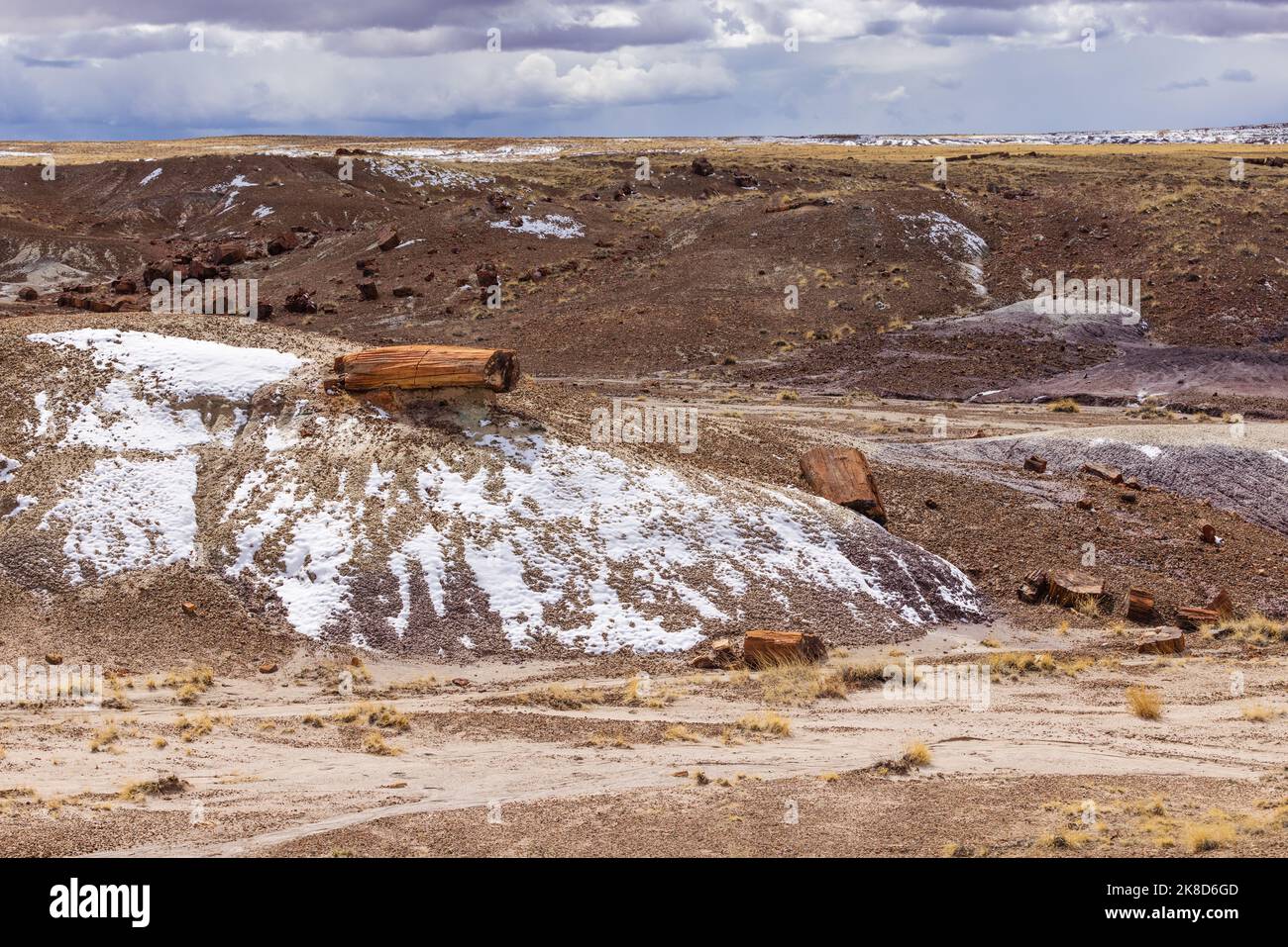 Eine frische Schneestaubung bedeckt die Hügel des Petrified Forest National Park. Stockfoto