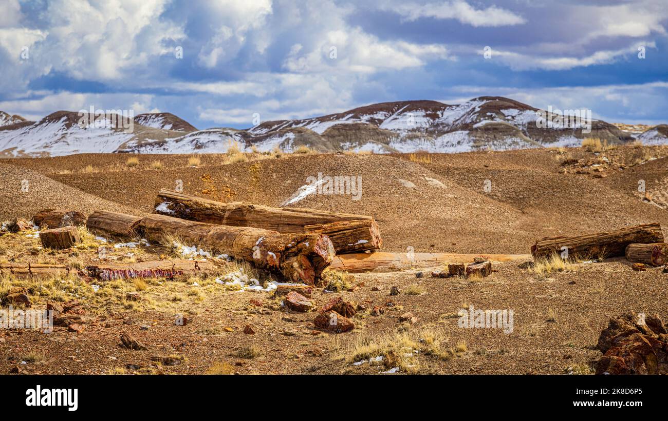 Eine frische Schneestaubung bedeckt die Hügel des Petrified Forest National Park. Stockfoto