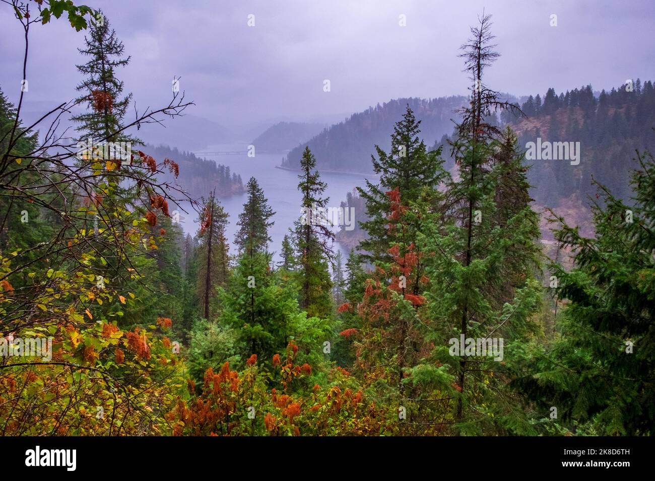 Beauty Bay, Lake Coeur d'Alene, Idaho, USA, Herbstfarben ändern sich, Nebliger See, Regendusche im Oktober Stockfoto