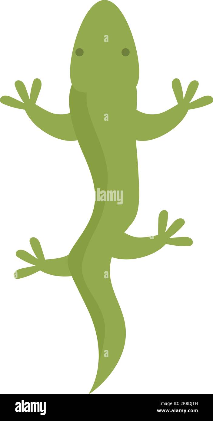 Argentinien Salamander Symbol Cartoon-Vektor. Reisen nach Amerika. Argentinisches latein Stock Vektor