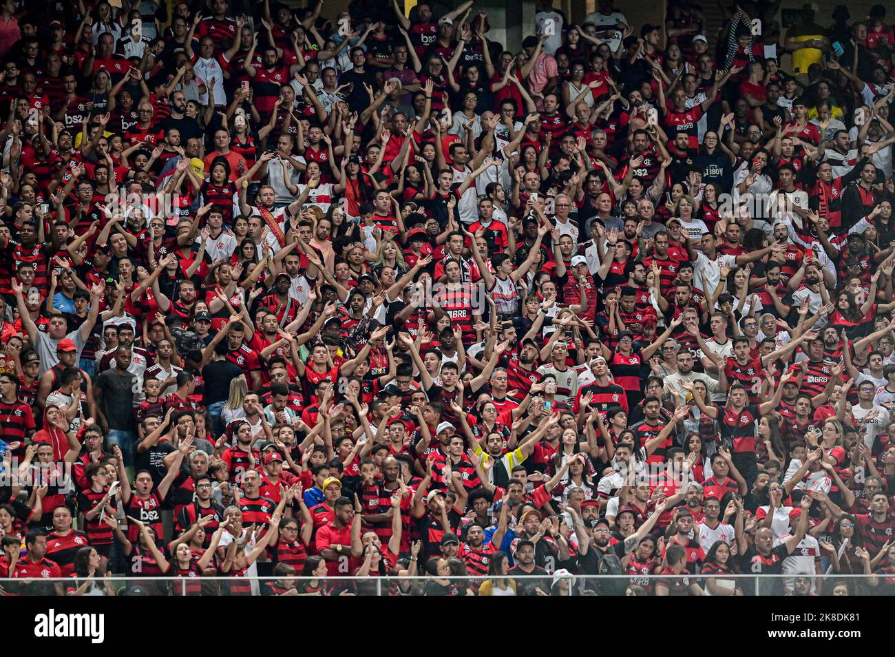 22.. Oktober 2022; Arena Independencia Stadium, Belo Horizonte, Minas Gerais, Brasilien; Brasilianische Serie A 2022, Amerika Mineiro gegen Flamengo; Fans von Flamengo feiern Stockfoto