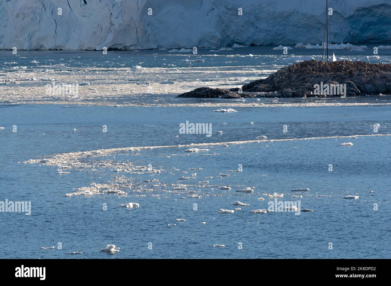 Eisige Gewässer von Port lockroy mit Gentoo Pinguin Rookery. wiencke Insel. antarktische Halbinsel. antarktis Stockfoto