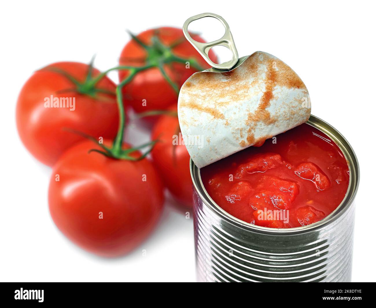 Offene Dose gehackte Tomaten aus der Dose mit ganzen frischen Tomaten auf weißem Hintergrund Stockfoto