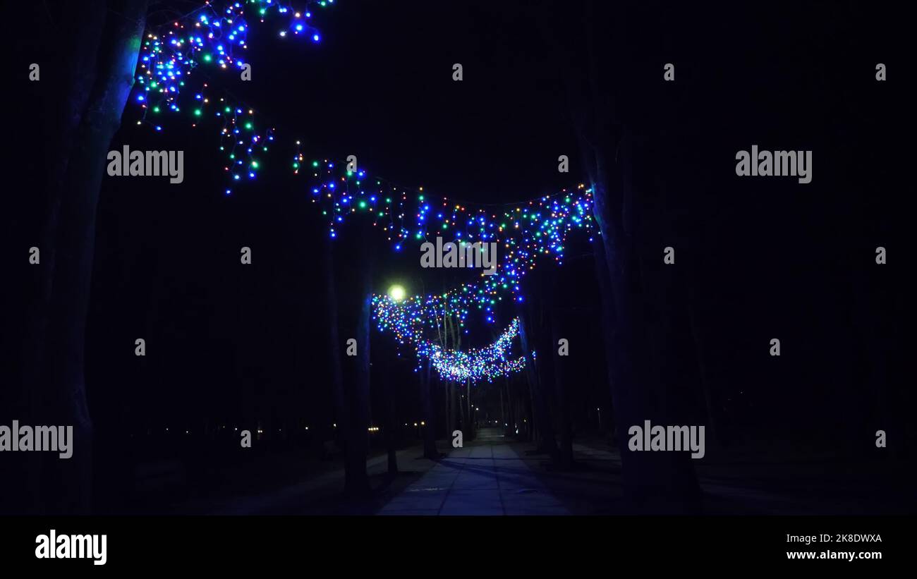 Weihnachten Girlande Lichter. Schöne, leuchtende, bunte Outdoor Girlande schmückt Park oder Straße, in der Nacht. Festliche, weihnachtliche Dekoration. Hochwertige Fotos Stockfoto