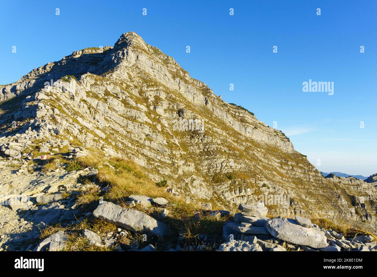 Schafreuter, Berg im Vorkarwendel, Hinterriss, Alpenpark Karwendel, Tirol, Österreich Stockfoto