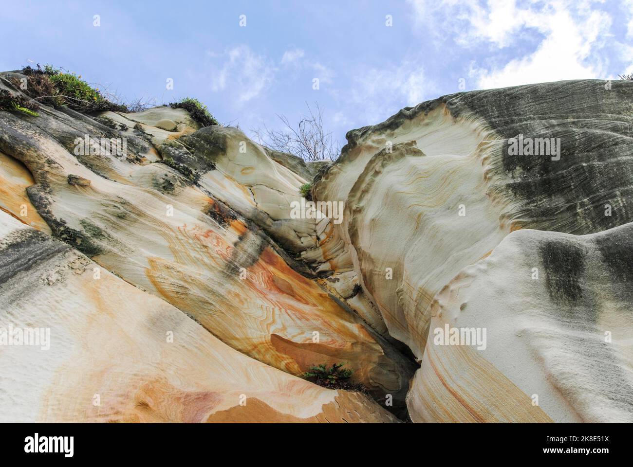 Blick auf eine felsige Küste in Sydney, Australien Stockfoto