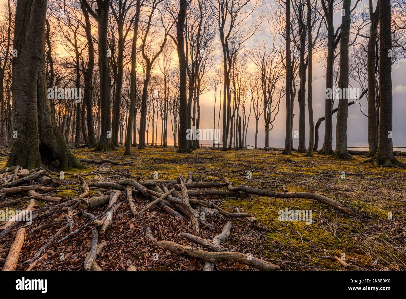 Panorama Steilküste Ostsee Nienhagen Stockfoto