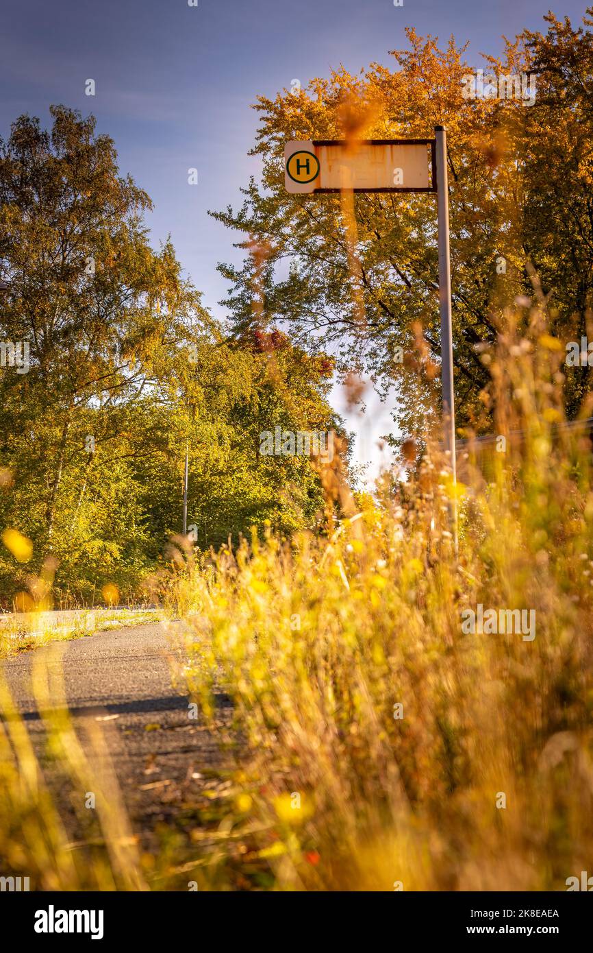An dieser Bushaltestelle hält seit langem kein Bus mehr. Etwas überwuchert Bushaltestelle Stockfoto