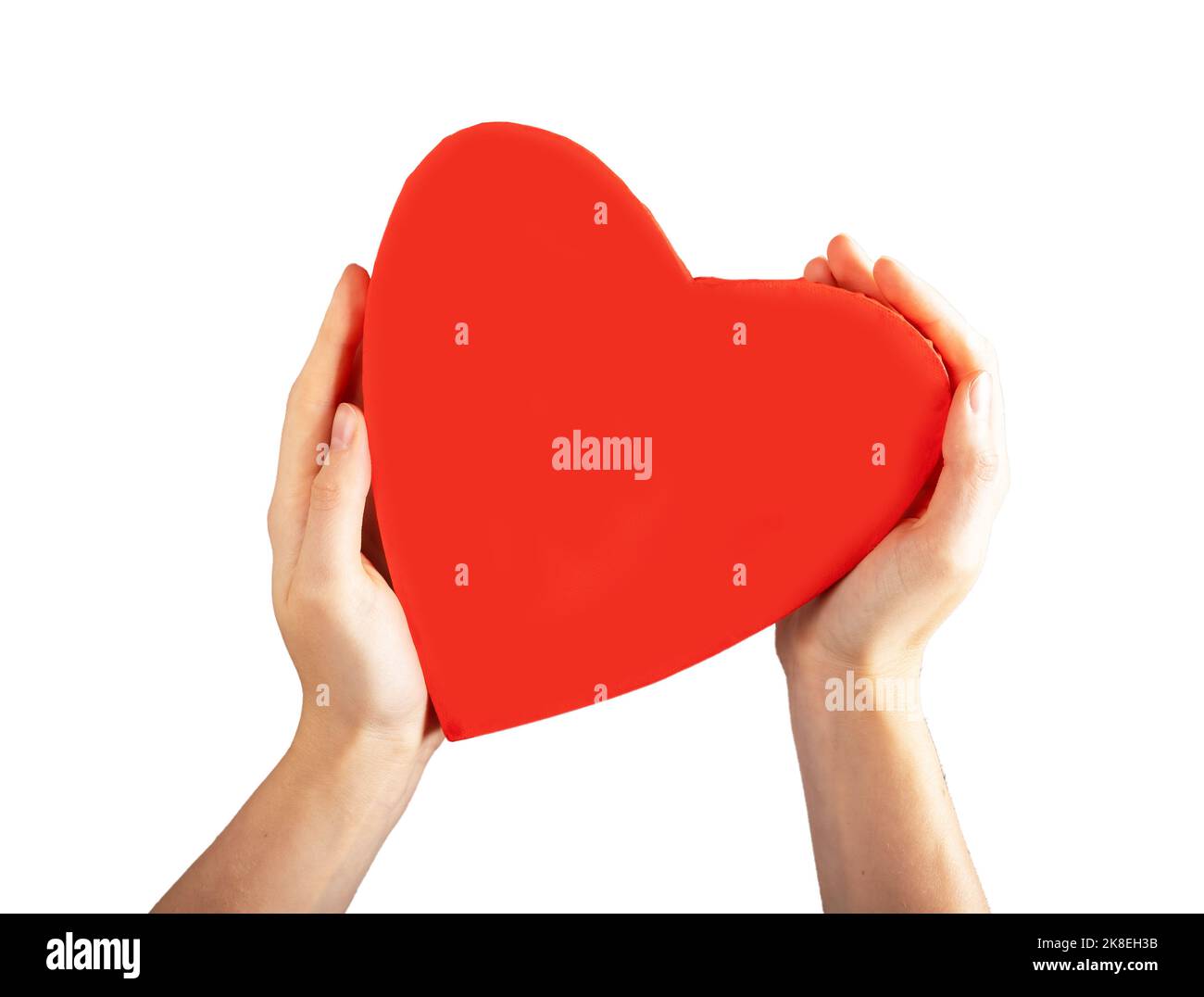Herzorgan in der Hand isoliert auf weißem Hintergrund. Unterstützung, Liebe, Wohltätigkeitskonzept. Hochwertige Fotos Stockfoto