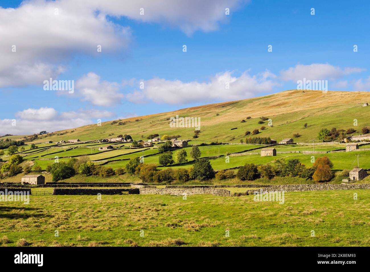 Englische Landschaft mit Bauernhöfen Scheunen und Trockenmauern auf einem Hügel im Yorkshire Dales National Park. Gunnerside Swaledale Nord Yorkshire England Stockfoto
